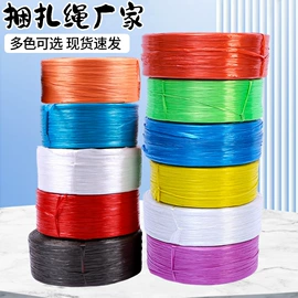 捆绑带;捆扎绳;结束带