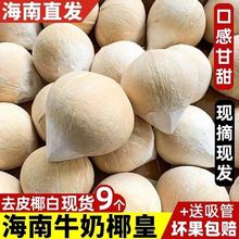 【果园现摘】正宗海南牛奶椰皇新鲜椰子当季水果椰香浓郁整箱批发