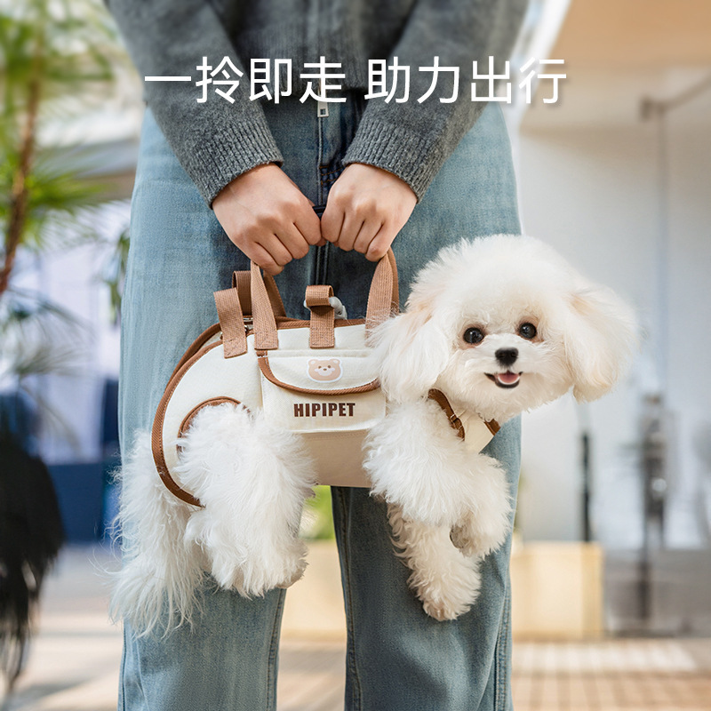 Mochila para mascotas de cuatro estaciones, mochila para perros y gatos pequeños, portátil, mochila de hombro, mochila para pasear perros.