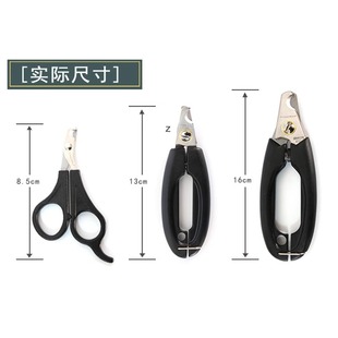 Pet Manicure Stainless Steel Cat and Dog Nail Clippers Nail Clippers Cat Nail Clippers Natural Style Beauty Supplies