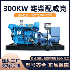 海柴300KW维柴配威克ディーゼル発電ユニット380大電力環境保護防塵メーカー直販