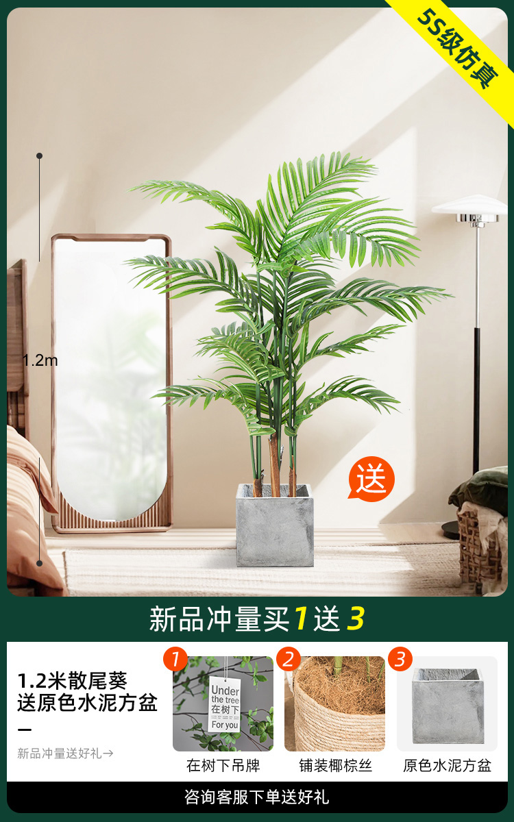 1.2 m 느슨한 말미잘 [1 차 색 시멘트 사각 분지 보내기]]