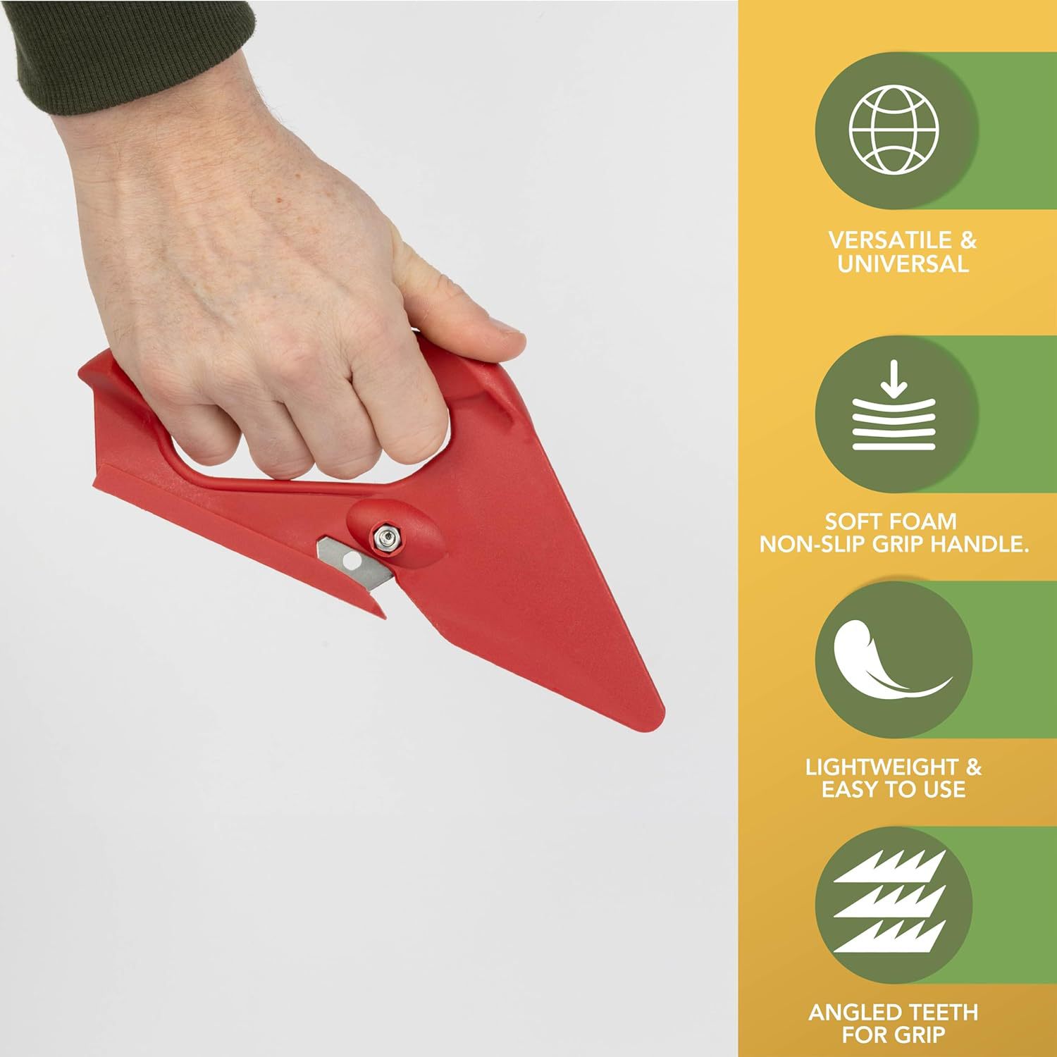 71a9e8Vy+NL._AC_SL1500_