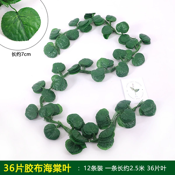 Hair band, 36 pieces