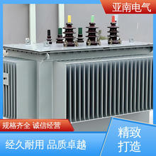 坚固耐用 厂家供应 维护方便 油浸电力变压器 亚南电气
