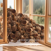 �}�Q�ɹ�С�ɹ��ɘ�������ɻ����~�������ɸɻ��}�Q�b�DIY