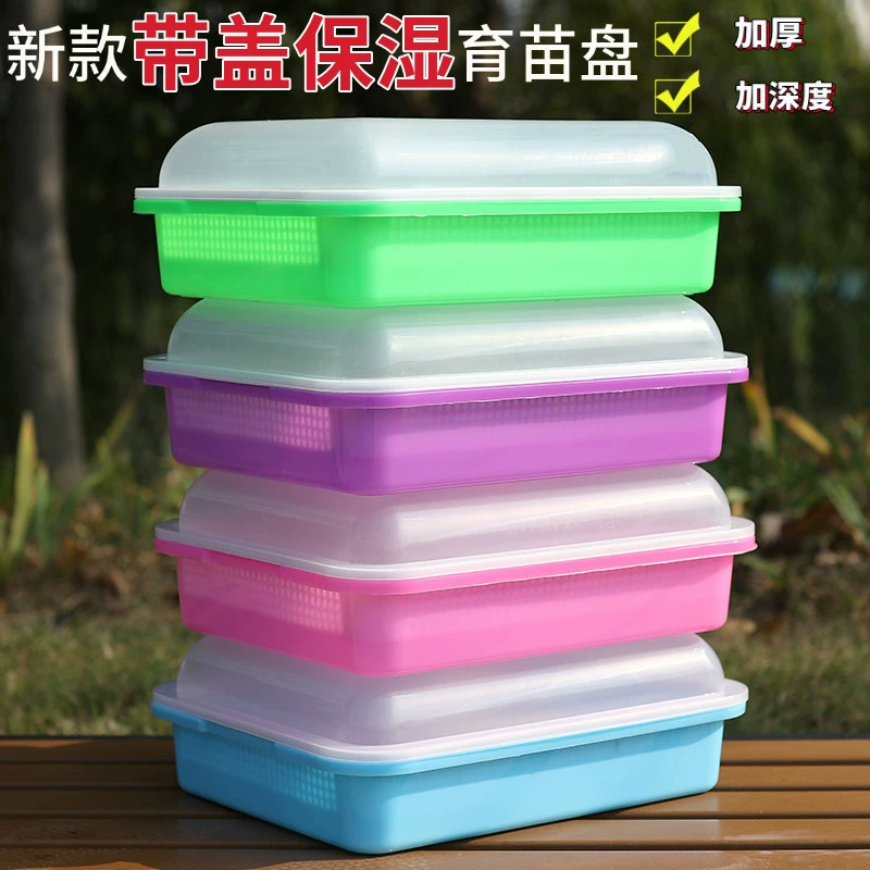 Ростки рассады рассады завод прямых продаж с покрытой увлажняющей зашифрованной сеткой овощей