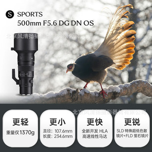 �m�RSIGMA 500mm F5.6 DG DN OS Sports ȫ�������h�z�����R�^