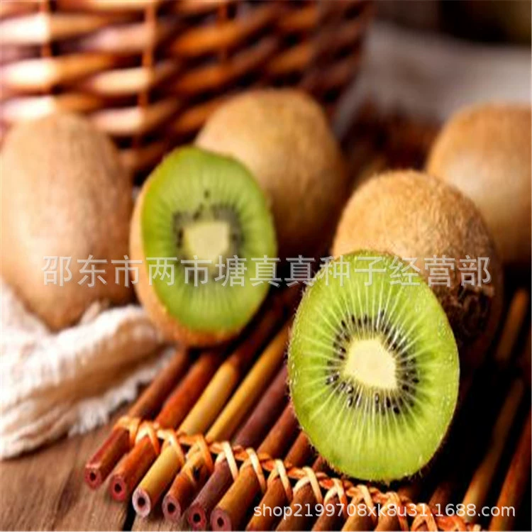 Семена киви Большой огород для сельскохозяйственных угодий Высокоурожайные, легко растут Густые сладкие и кислотные семена киви Семена фруктов