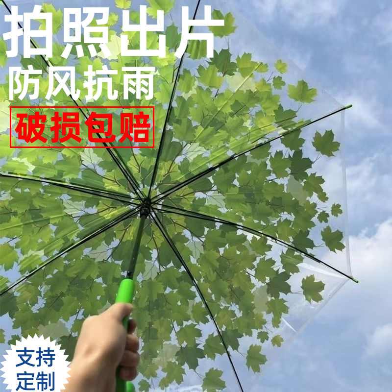 Straight Handle Transparent Umbrella Apollo Cherry Blossom Umbrella Transparent Umbrella Arch Mushroom Umbrella Cherry Blossom Umbrella Small Fresh Transparent Umbrella Straight Handle Transparent Umbrella Apollo Cherry Blossom Umbrella Transparent Umbrella Arch Mushroom Umbrella Cherry Blossom Umbrella Small Fresh Transparent Umbrella