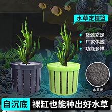 �~��ˮ�ݶ�ֲ�@�����쾰�b�ֲ�����̸ܹ���ˮ������׹̶�����