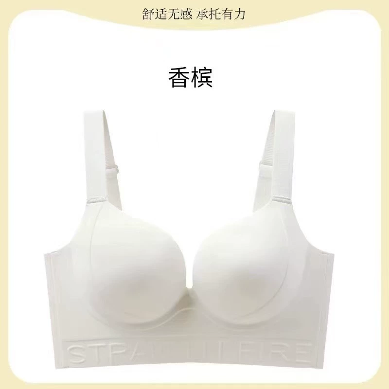 Push-Up Bra, Plus Size Support, Seamless Molded Cups, Sizes 34–44 (ABCD), Multi-Color
