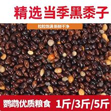 �����Ӵ���׷N�����l���]�������ӷN�Ӯa��������ز��ּZ�N��
