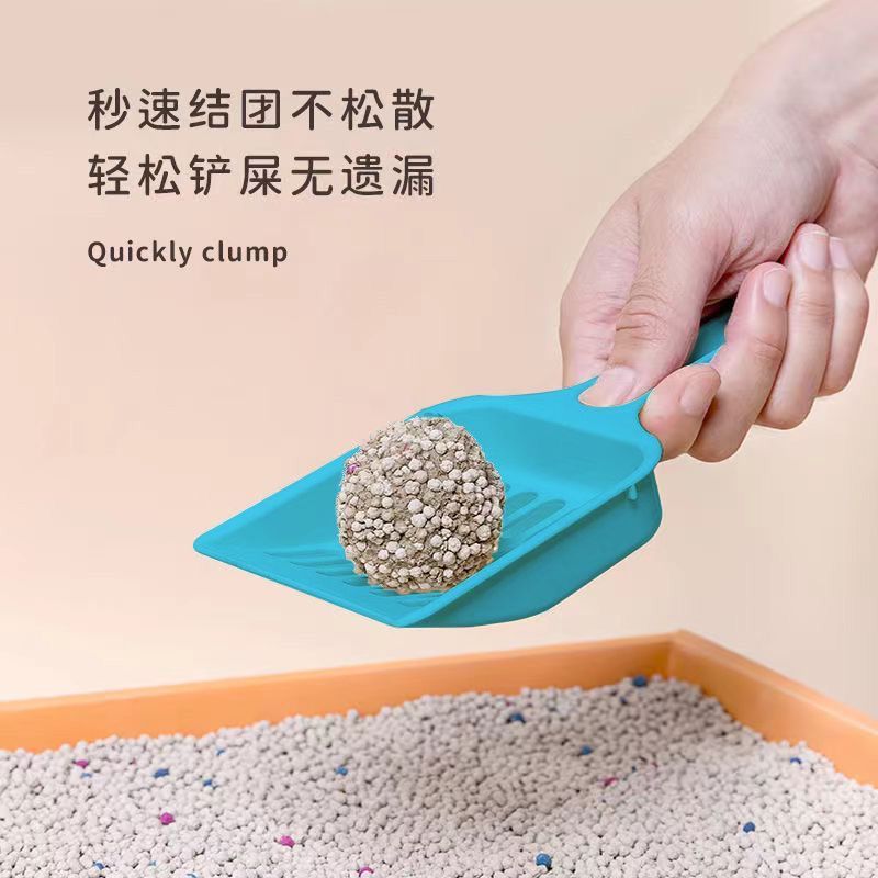 32bb5373-0726-484d-9943-2ca939c47fab.jpe