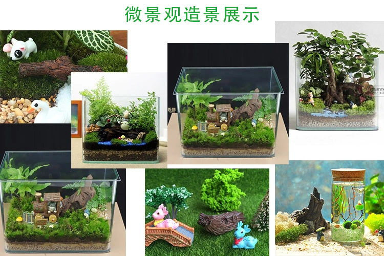 详情图