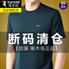 啄木鸟中年冰丝男士短袖t恤夏季新款凉感圆领爸爸装宽松纯色梦伟