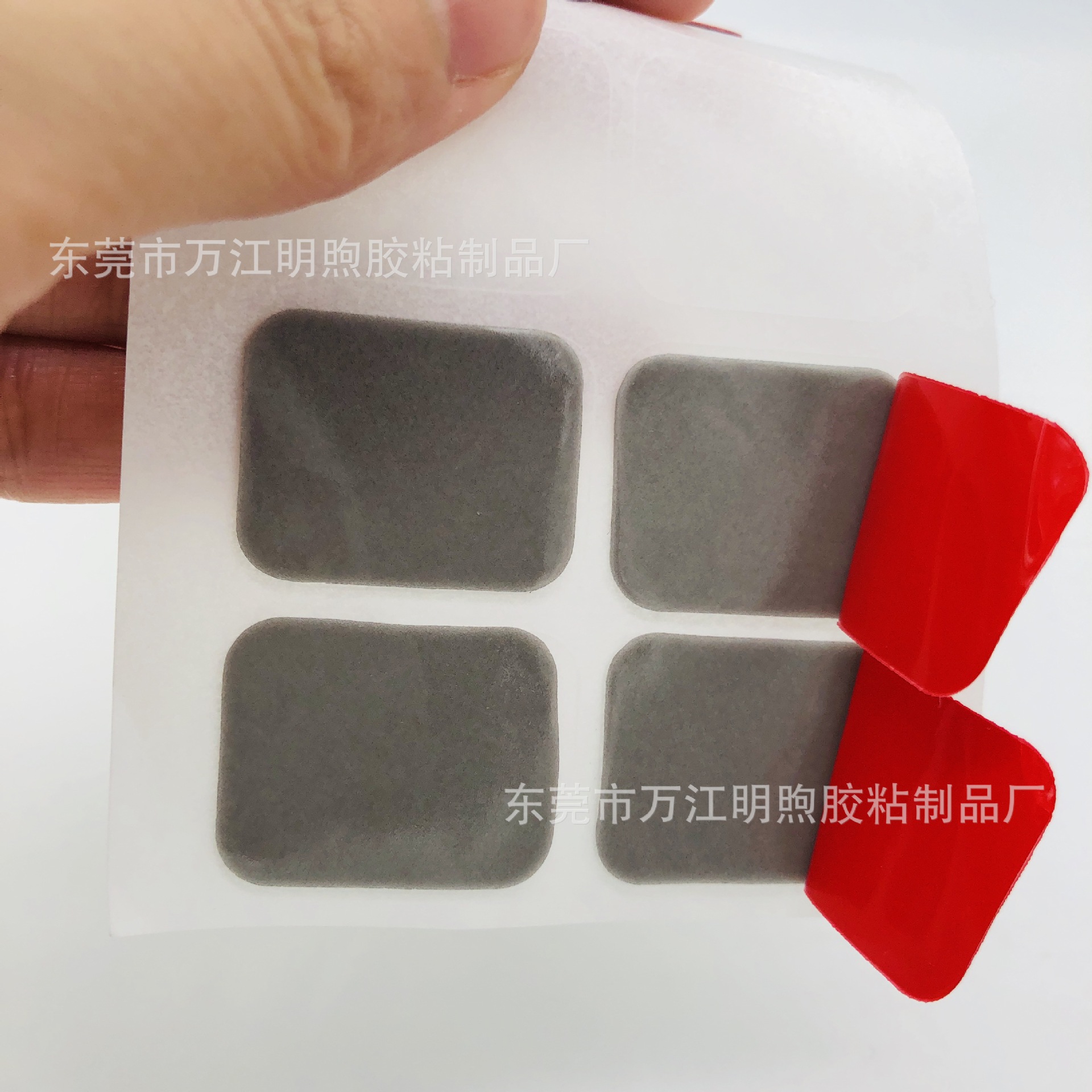 IMG_9877(20230421-131451)