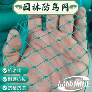 �~�W�¾WƬ����ϩ�нY�W���W�O�W���~������W�Bֳ�W�u�����W�WƬ