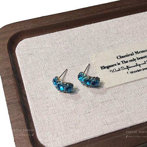 Chic and Minimalist Spring Earrings with Korean Design - Cold Brew Blue High-End Minority Style Ear Studs