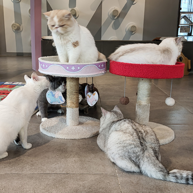 Leyoupai, marco de escalada para gatos de invierno, nido para gatos, árbol para gatos, tabla para rascar gatos, estante para gatos, poste para rascar gatos, marco de escalada para mascotas pequeñas, nido