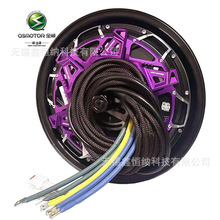 12��V6�L�Y10000WP70H��ƬQSMOTORȫ�늙C48-96V늄�܇�Ħ늙C