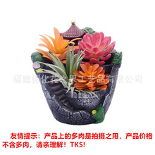 �羳��֬��׶���ֲ�ﻨ�������҃���Ƶ껨���b�Ʒ��������辰