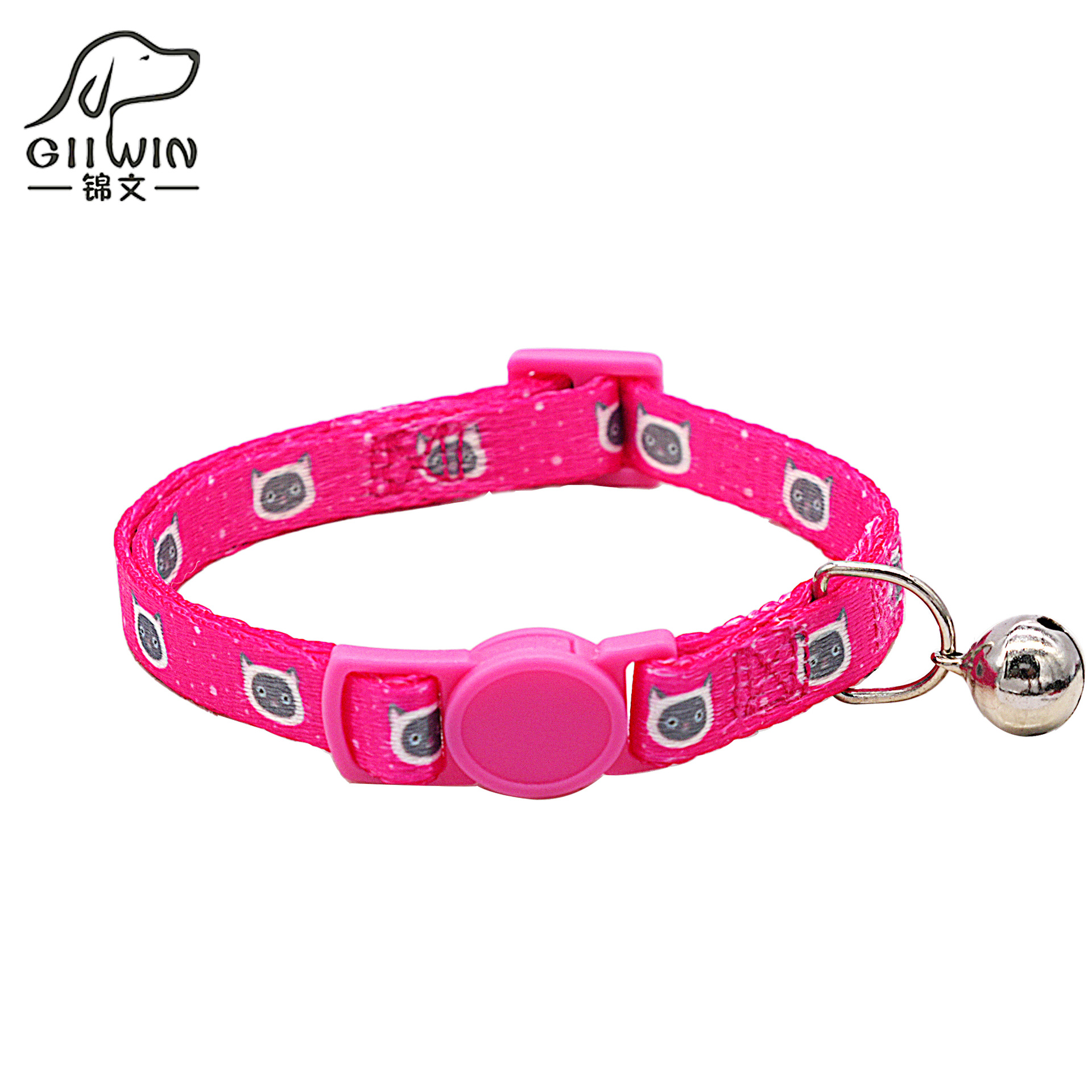 장미 회색 얼굴 고양이