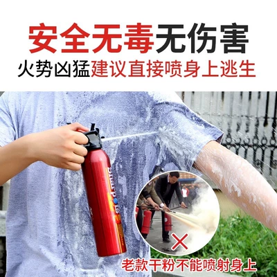 Vehicle fire extinguisher — Cars, Portable