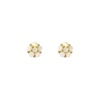 Advanced earrings, light luxury style, cat's eye, internet celebrity, high-quality style