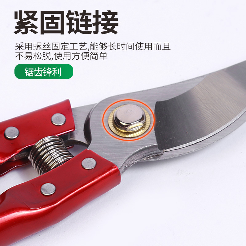 Tijeras de podar Winda tijeras de podar de frutas rama poda jardinería tijeras de poda de frutas jardinería de jardín tijeras de árboles frutales