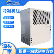冷库箱式冷凝机组低温全封闭式制冷冷冻机组制冷风冷箱式冷凝机组