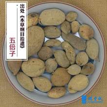 250克 药材 五倍子（肚倍） 百药煎（五倍子同茶叶等经发酵）四川