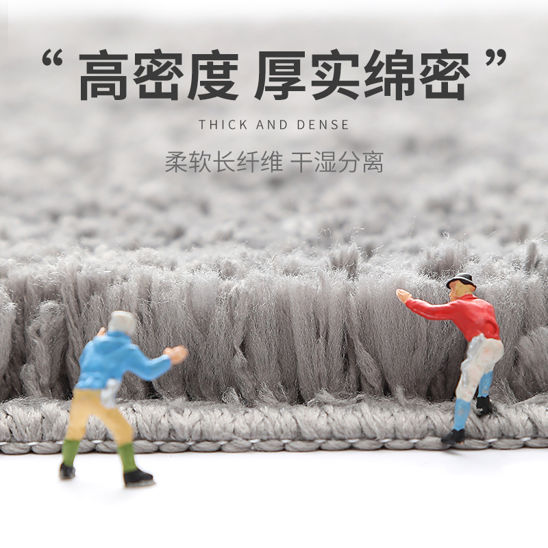 跨境加厚入户门地垫卫生间门口吸水脚垫床边地毯家用浴室防滑垫子