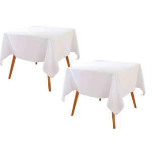L 10066 Disposable PEVA Tablecloth һ�������� �W���L��羳