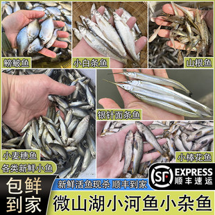 �ӳ�O�����rС�s�~С�����~���Q�~ɽ���~С�חl�~�y��~�����~��