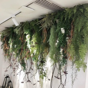 Green Plant Wall Hanging Vine Green Plant Hanging Orchid Persian Fern Wall Pipe Ceiling Decoration