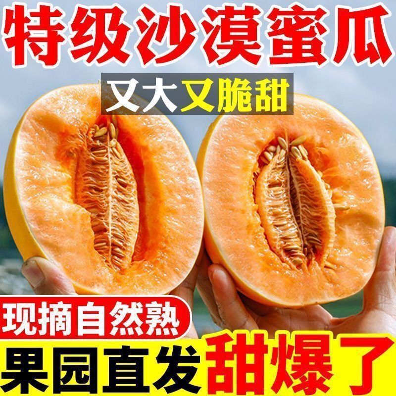 【Fresh Fruit Delivery】Authentic Gansu Minqin Golden Honey Melon, Fragrant Melon, Honey Melon, Seasonal Fruit, Desert Honey Melon 【Fresh Fruit Delivery】Authentic Gansu Minqin Golden Honey Melon, Fragrant Melon, Honey Melon, Seasonal Fruit, Desert Honey Melon