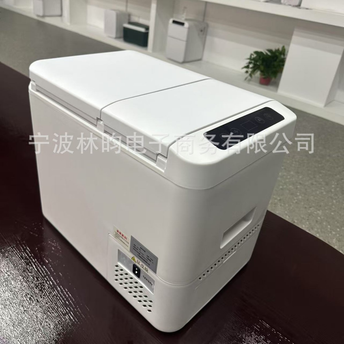 Sast Mini Refrigerator Freezer Refrigerated Car Home Dormitory Breast Milk Makeup Mirror Mask Small Freezer