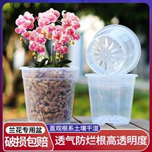 青山盆兰科加厚加硬塑料透气透明PP材质花盆适合蝴蝶兰君子兰直销