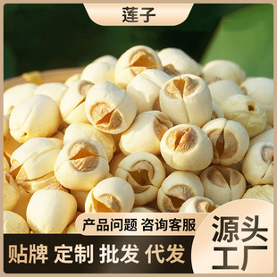 ɏ�Ӹ�؛����ȥо�������l��ɏ��ɢ�b���rͨо��Ŵ��؛250�˴��b