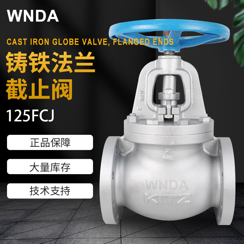 ձKITZֹ 125FCJ ֶڷPN16 DN100 DN80