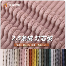 工厂供应2.5条绒沙发抱枕面料 2.5条经编灯芯绒 沙发布服装面料