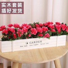 ľ�řڷ��滨ˇ���b�ٻ��������컨�����b��ݬF����@�L���m��