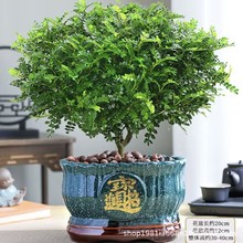 xľֲGֲ҃ȿ͏dļB՚ ľ