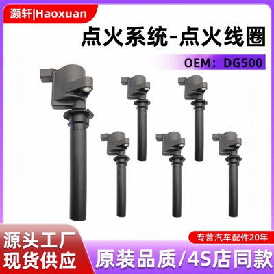 DG513 8M2E-12A366-AA 2M2Z-12029-AC is suitable for Ford Escape 3.0L ignition coil (Alovlanma bobini (Babinalar))