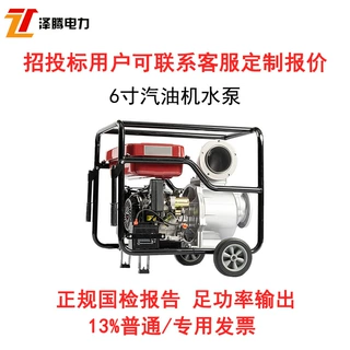 6寸汽油抽水泵泽腾智防 电启动150m³/h 30m高扬程 招投标 可定制