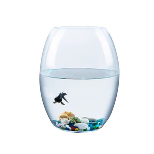 Creative glass transparent hydroponic vase desktop round ecological goldfish bowl desktop large small size shell shape cylinder