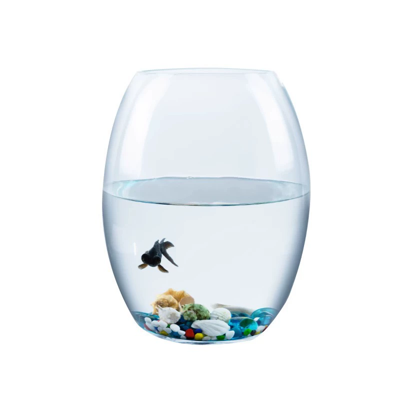 Креативная стеклянная прозрачная гидропонная ваза, настольная круглая экологическая чаша для золотых рыбок, рабочий стол, большой маленький размер, цилиндр в форме раковины