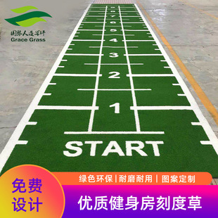 Hot Selling Gym Artificial Turf, Gym Lawn Track Scale White Line Artificial Turf, Sled Special