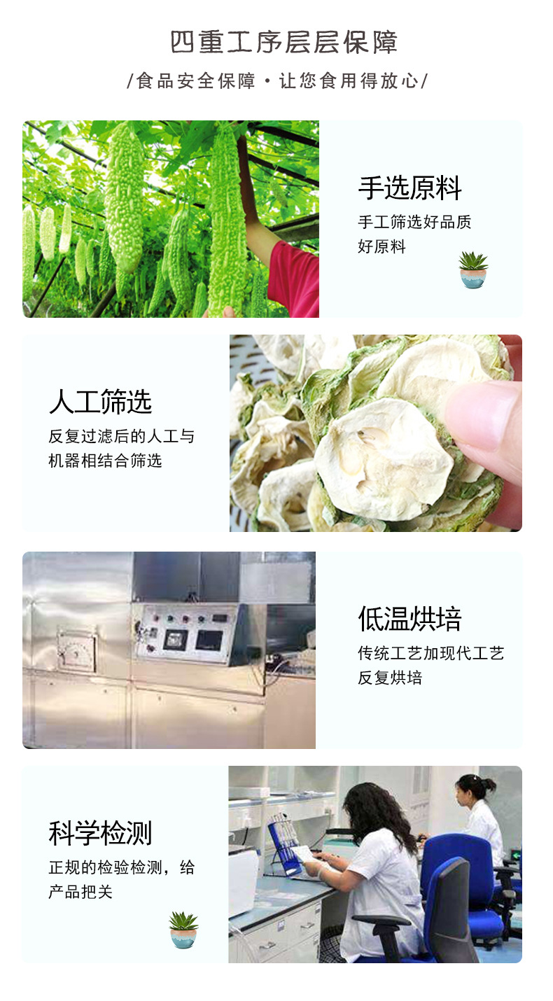 Dried Bitter Melon Tea Slices Ku Gua 苦瓜 Freeze Dried Herbal Infusion 50g quality and texture